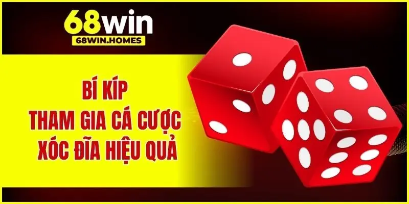 Bí kíp tham gia cá cược xóc đĩa hiệu quả